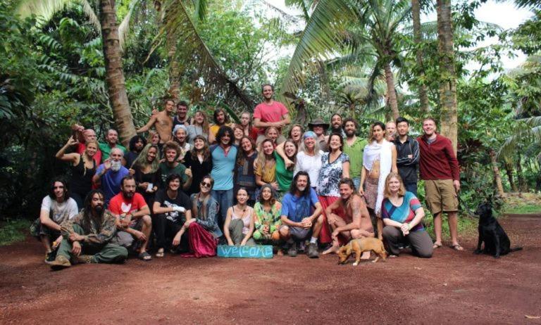 Paradise Eco Village Pahoa Buitenkant foto