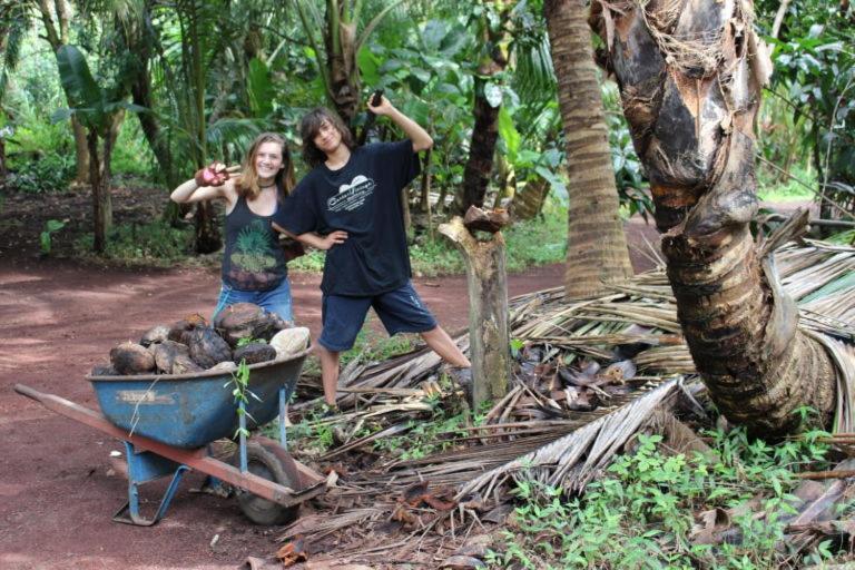 Paradise Eco Village Pahoa Buitenkant foto