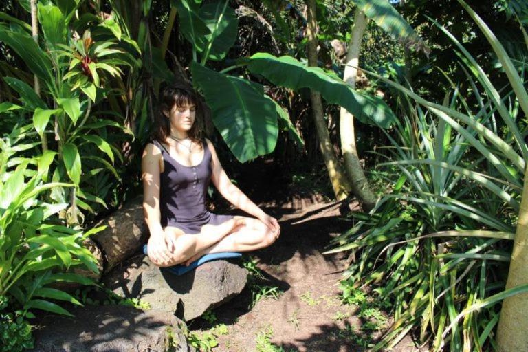 Paradise Eco Village Pahoa Buitenkant foto