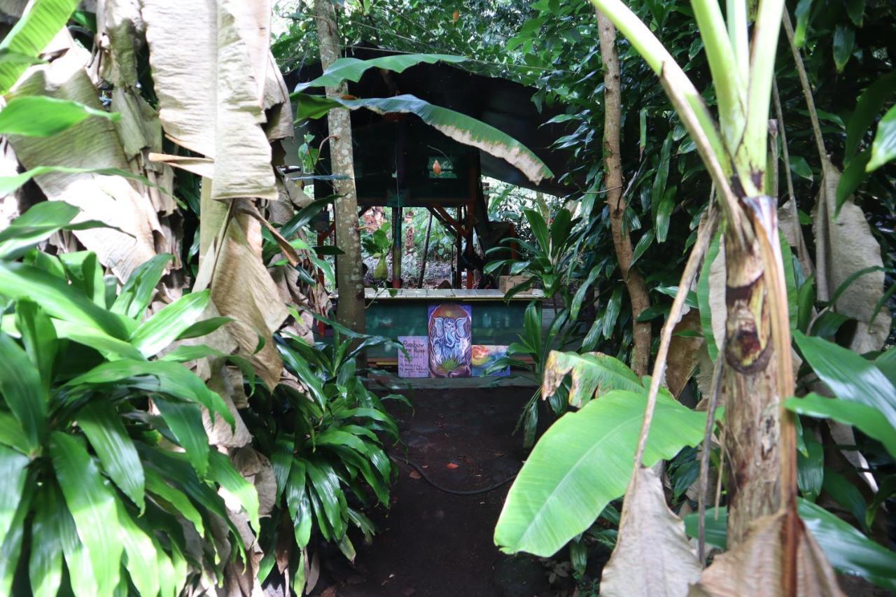Paradise Eco Village Pahoa Buitenkant foto