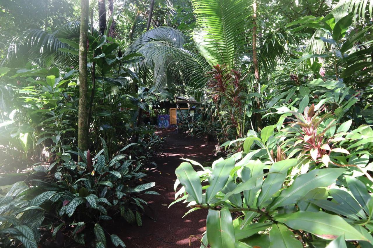 Paradise Eco Village Pahoa Buitenkant foto